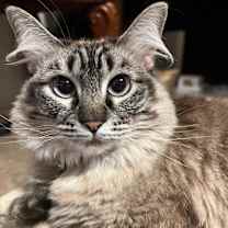 Thumbnail photo of Belle #3