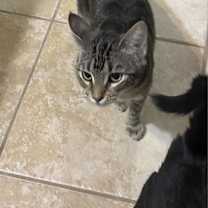 Thumbnail photo of Noel #4