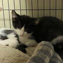 Thumbnail photo of Doodad #3