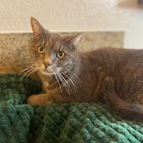 Thumbnail photo of George #2