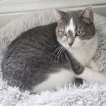 Thumbnail photo of Arlo #3