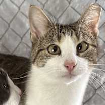 Thumbnail photo of Tessa #1