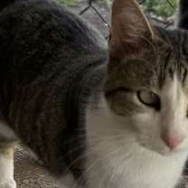 Thumbnail photo of Tessa #2