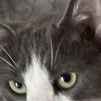 Thumbnail photo of Timmy #1