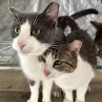 Thumbnail photo of Timmy #2