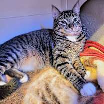Thumbnail photo of Barnacle #1