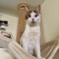 Thumbnail photo of Bookworm #2