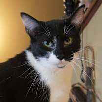 Thumbnail photo of Zip #1