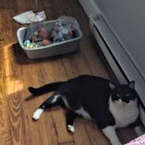 Thumbnail photo of Zip #2
