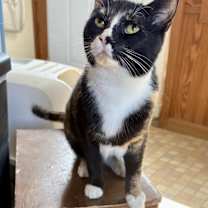 Thumbnail photo of Megan #1