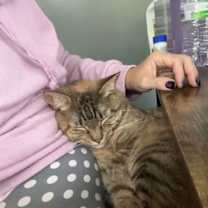 Thumbnail photo of Emmy #3