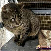 Thumbnail photo of Sally #1