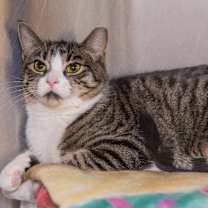 Thumbnail photo of Lucy #1