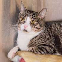 Thumbnail photo of Lucy #2