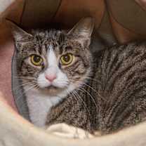 Thumbnail photo of Lucy #3