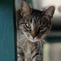 Thumbnail photo of Sandy #3