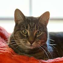 Thumbnail photo of Sandy #4