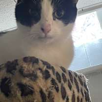 Thumbnail photo of Joanie #1