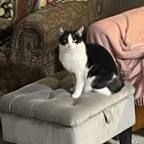 Thumbnail photo of Joanie #4