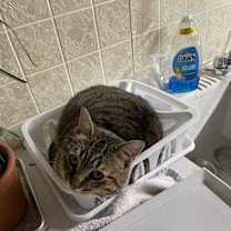 Thumbnail photo of Anastasia #4