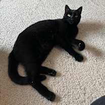 Thumbnail photo of Ricardo #1