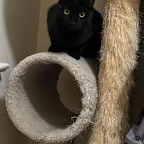 Thumbnail photo of Ricardo #2