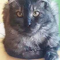 Thumbnail photo of Omar #1