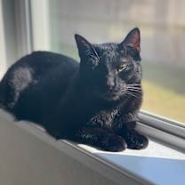 Thumbnail photo of Raisin #2