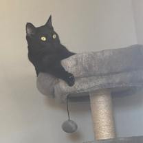 Thumbnail photo of Raisin #3