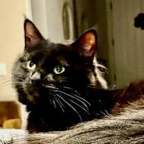 Thumbnail photo of Winnie #1