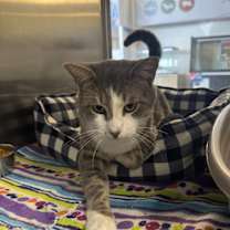 Thumbnail photo of Spoinky #2