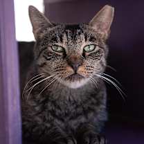 Thumbnail photo of Bucky #1
