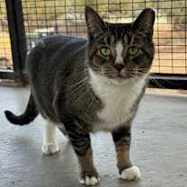 Thumbnail photo of Palmer #2