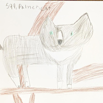 Thumbnail photo of Palmer #3
