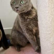 Thumbnail photo of Stacey #1