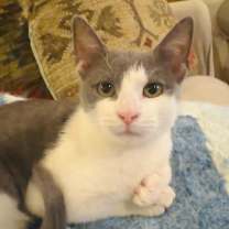 Thumbnail photo of Rachel #1