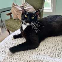 Thumbnail photo of Bingo #1