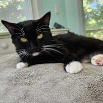 Thumbnail photo of Bingo #2