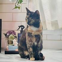 Thumbnail photo of Dolly B #1