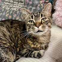 Thumbnail photo of Randy #1