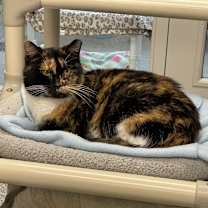 Thumbnail photo of AGATHA #2