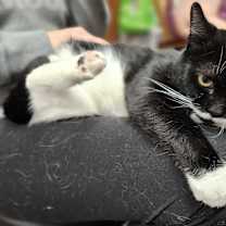 Thumbnail photo of Mama #4