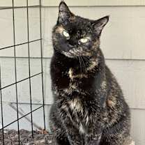 Thumbnail photo of Mabel #3