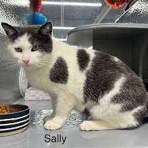 Thumbnail photo of Sally #2