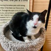 Thumbnail photo of Elmer #2