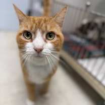 Thumbnail photo of Bob #1