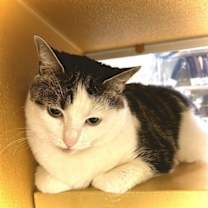 Thumbnail photo of Chloe Darla #2