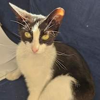 Thumbnail photo of Tip #1