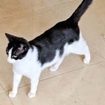 Thumbnail photo of Tip #2