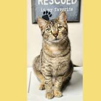 Thumbnail photo of Eleanore #3